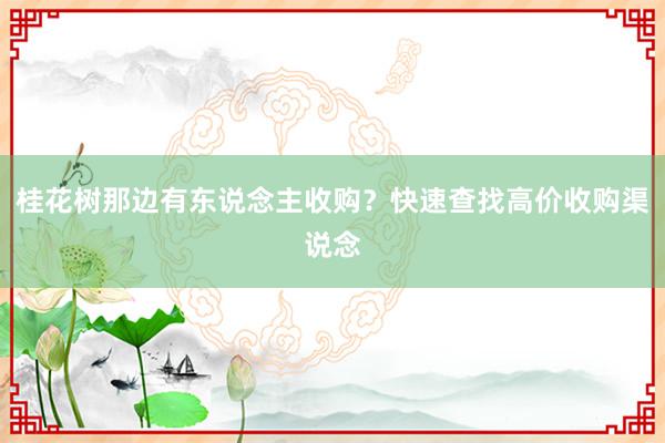 桂花树那边有东说念主收购？快速查找高价收购渠说念